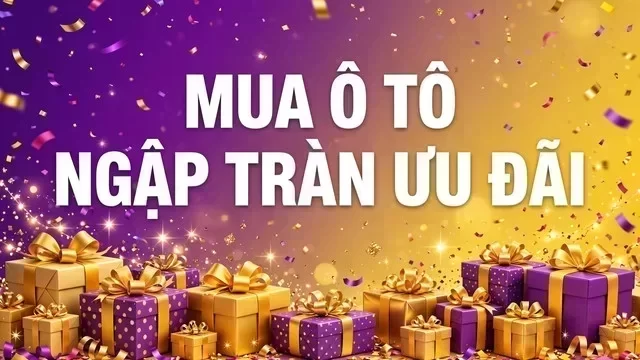 Địa điểm hỗ trợ xem xe tại Hà Nội